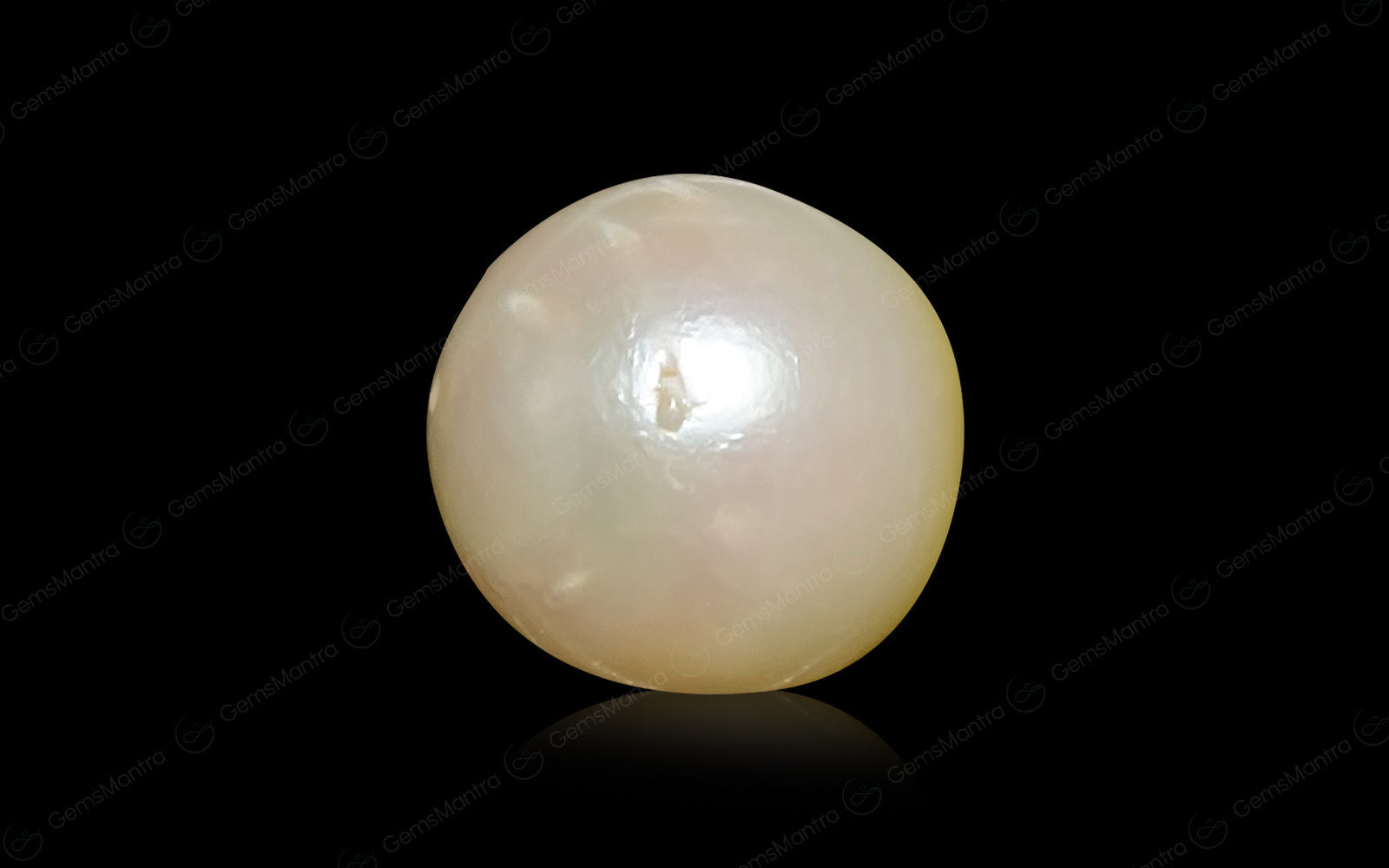 South Sea Pearl - 7.34 Carats