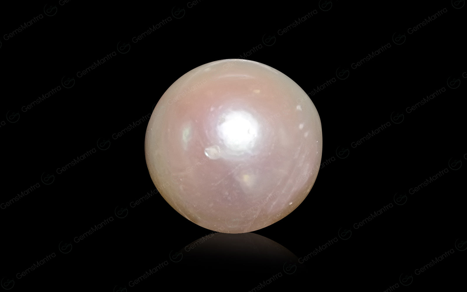 South Sea Pearl - 6.43 Carats