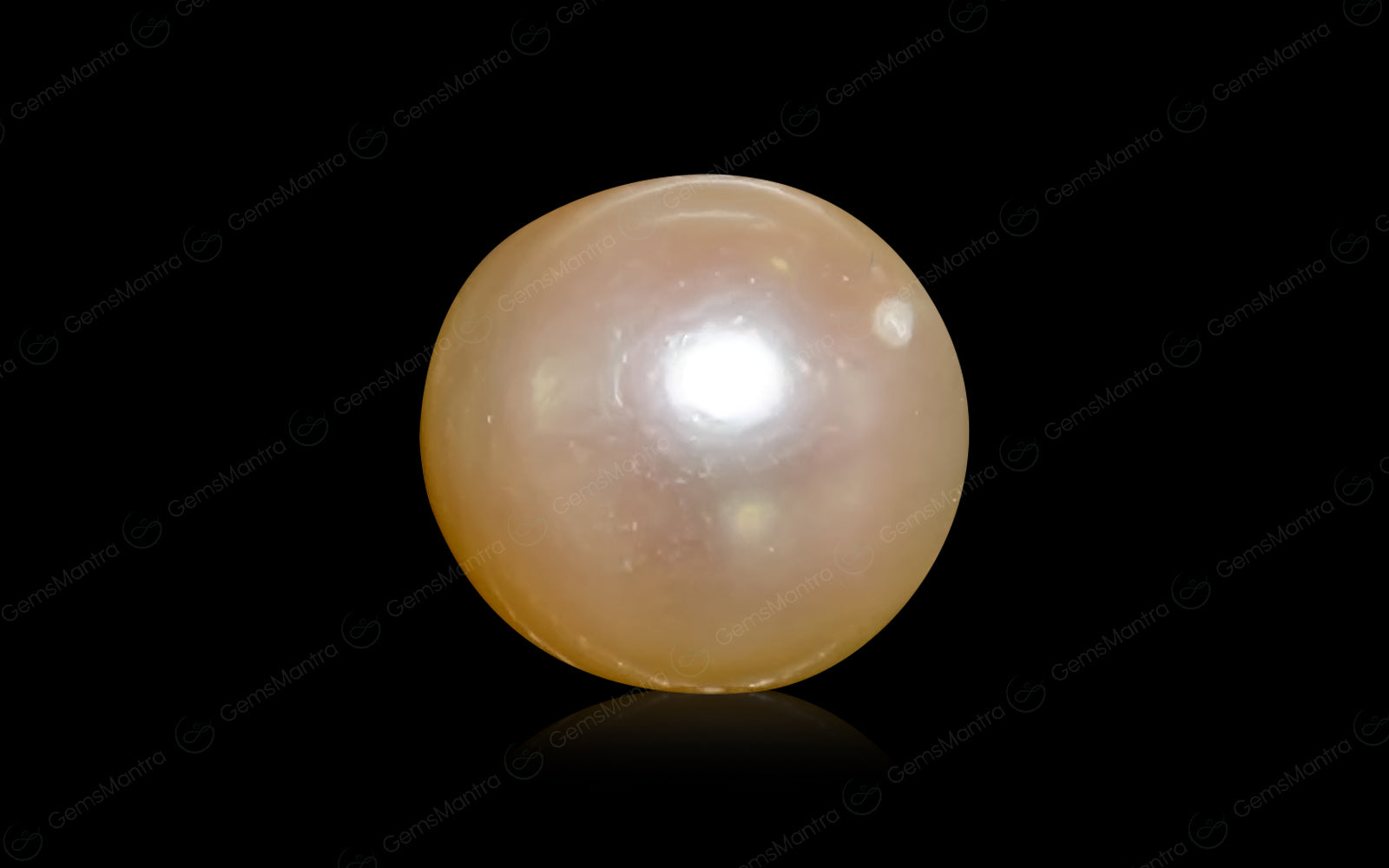 South Sea Pearl - 4.53 Carats