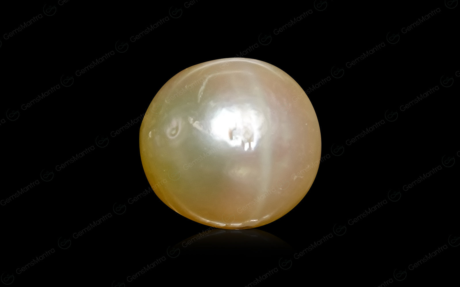 South Sea Pearl - 4.53 Carats