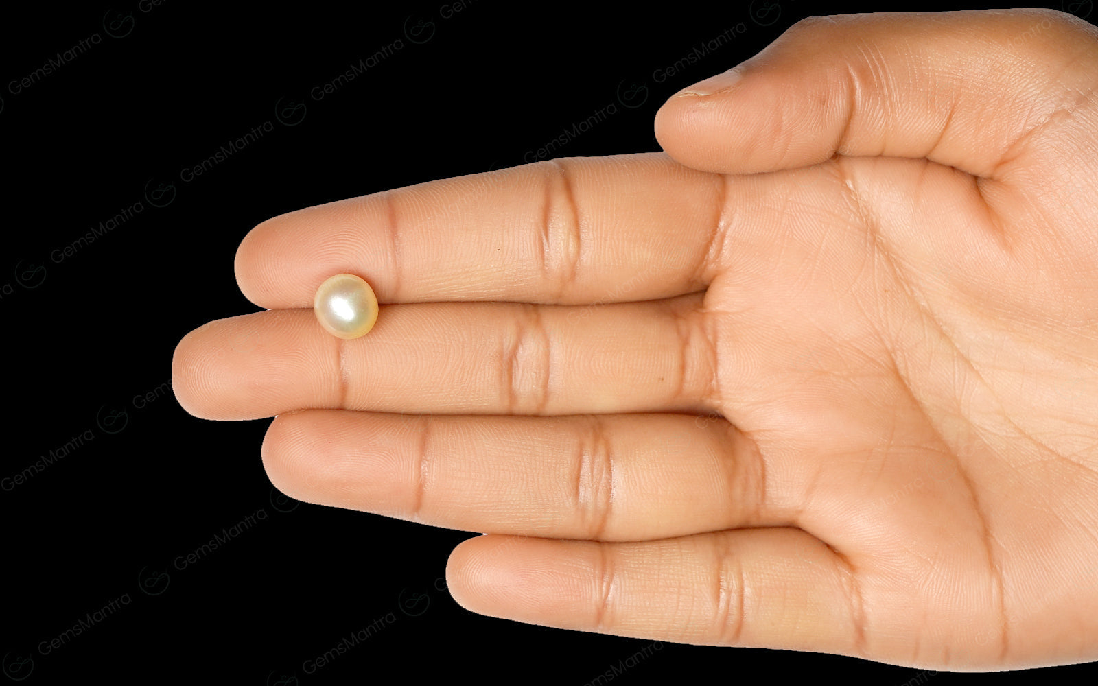 South Sea Pearl - 4.53 Carats