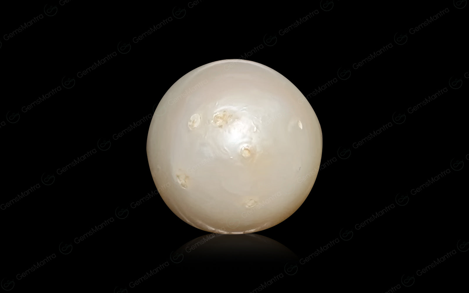 South Sea Pearl - 6.54 Carats