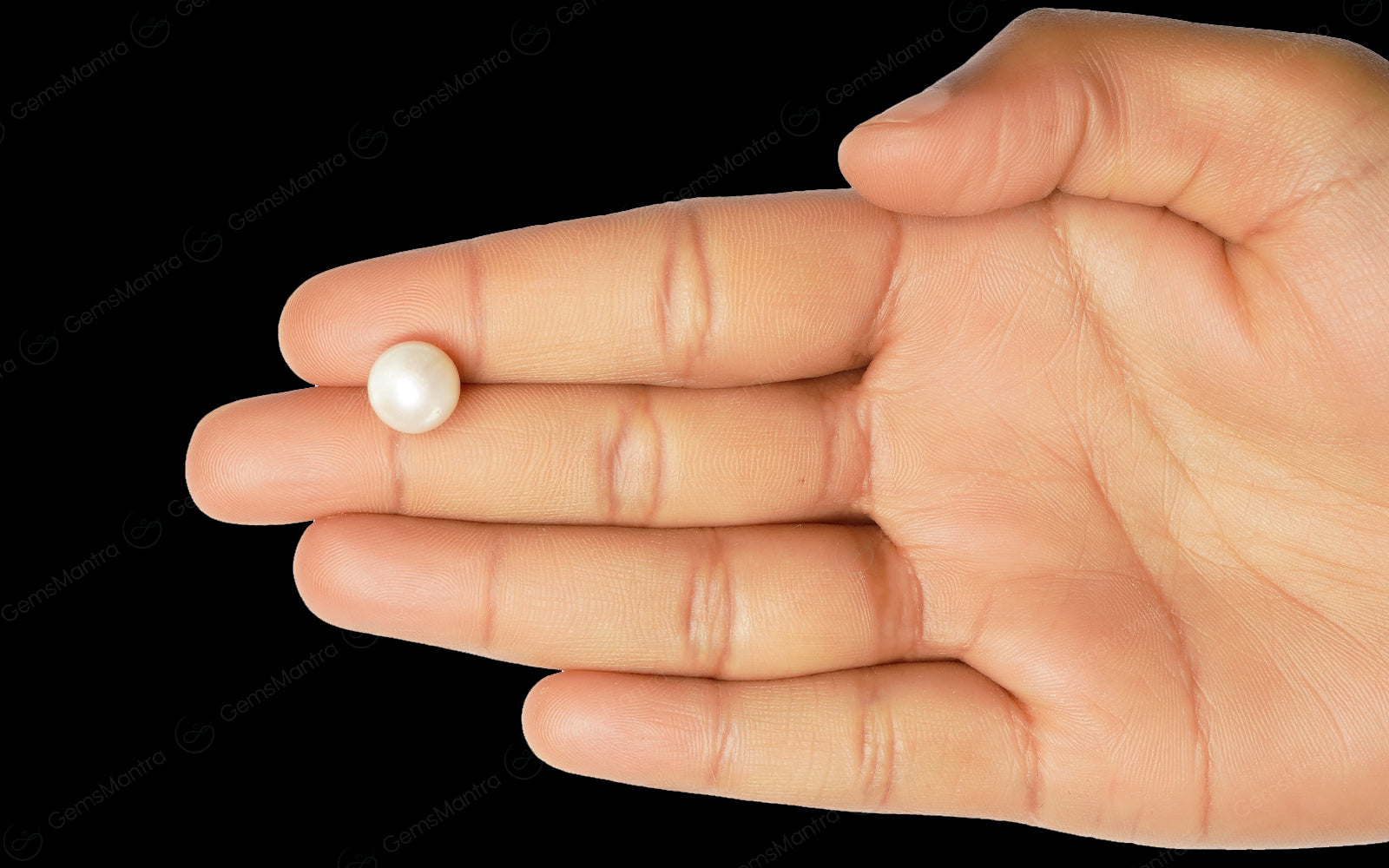 South Sea Pearl - 6.54 Carats