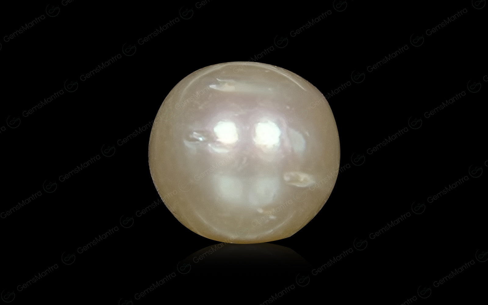 South Sea Pearl - 3.53 Carats