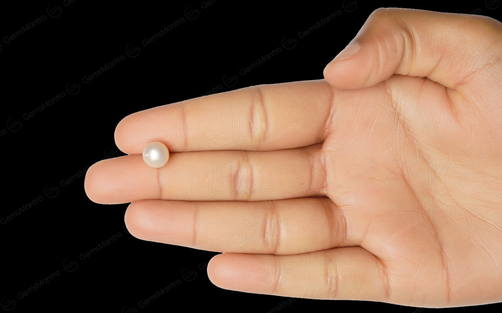 South Sea Pearl - 3.53 Carats