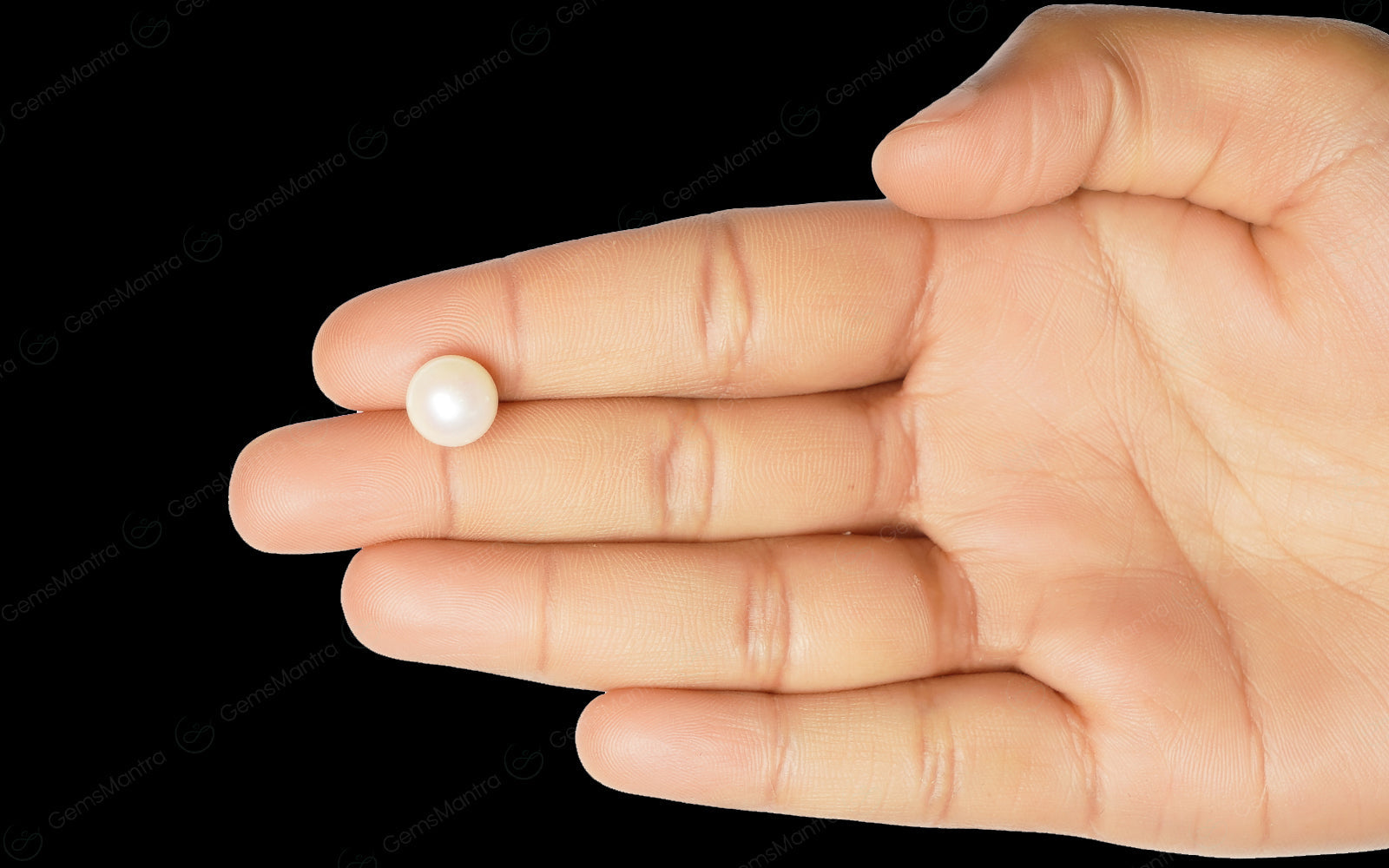 South Sea Pearl - 6.23 Carats