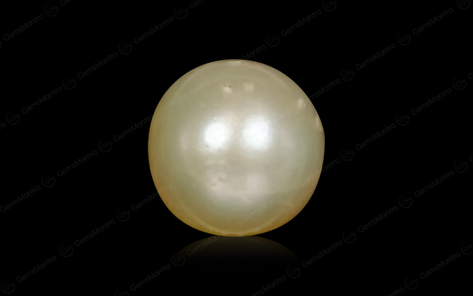 South Sea Pearl - 4.54 Carats