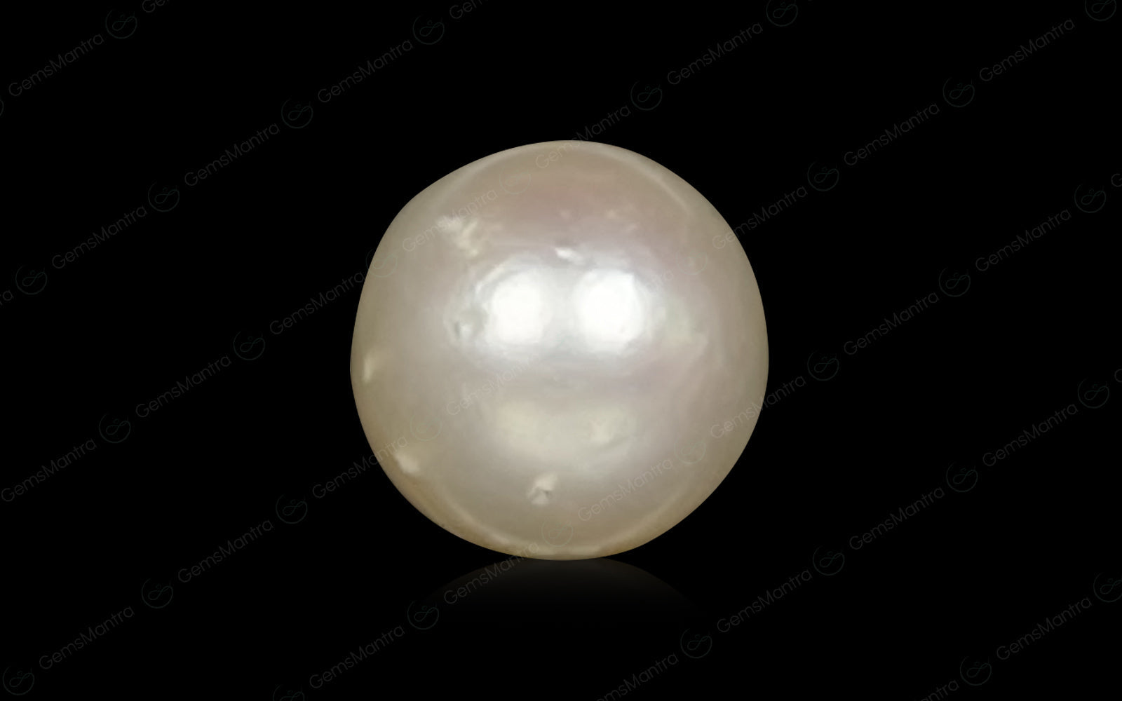 South Sea Pearl - 3.1 Carats