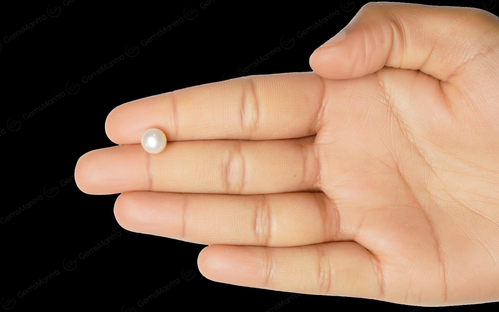 South Sea Pearl - 3.1 Carats