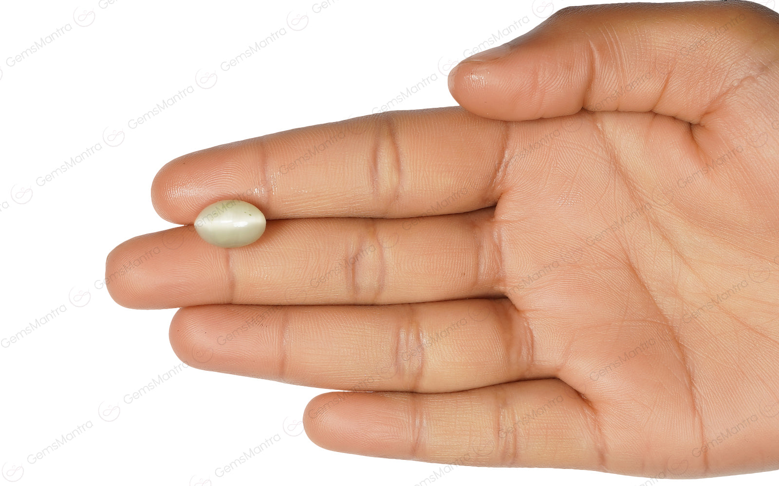 Cats Eye Quartz - 5.58 Carats