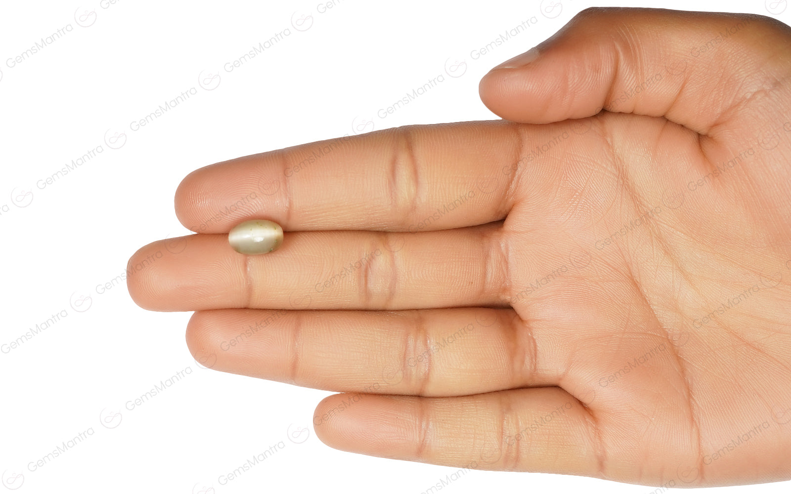 Cats Eye Quartz - 3.5 Carats