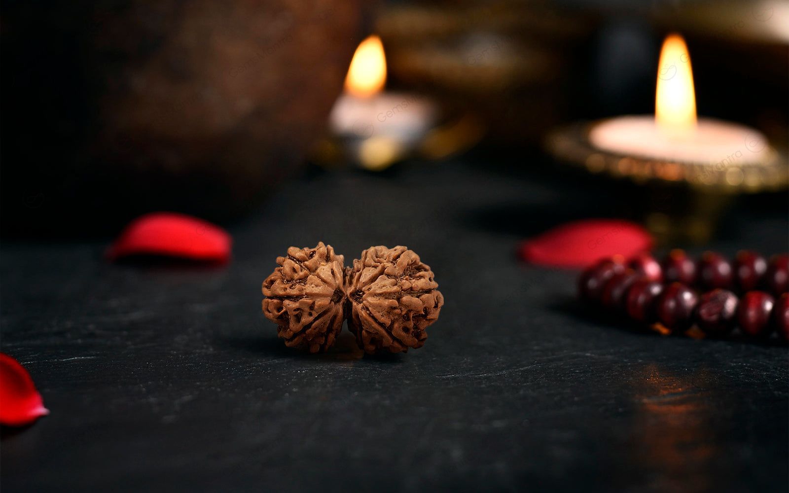 Natural Gauri Shankar Rudraksha