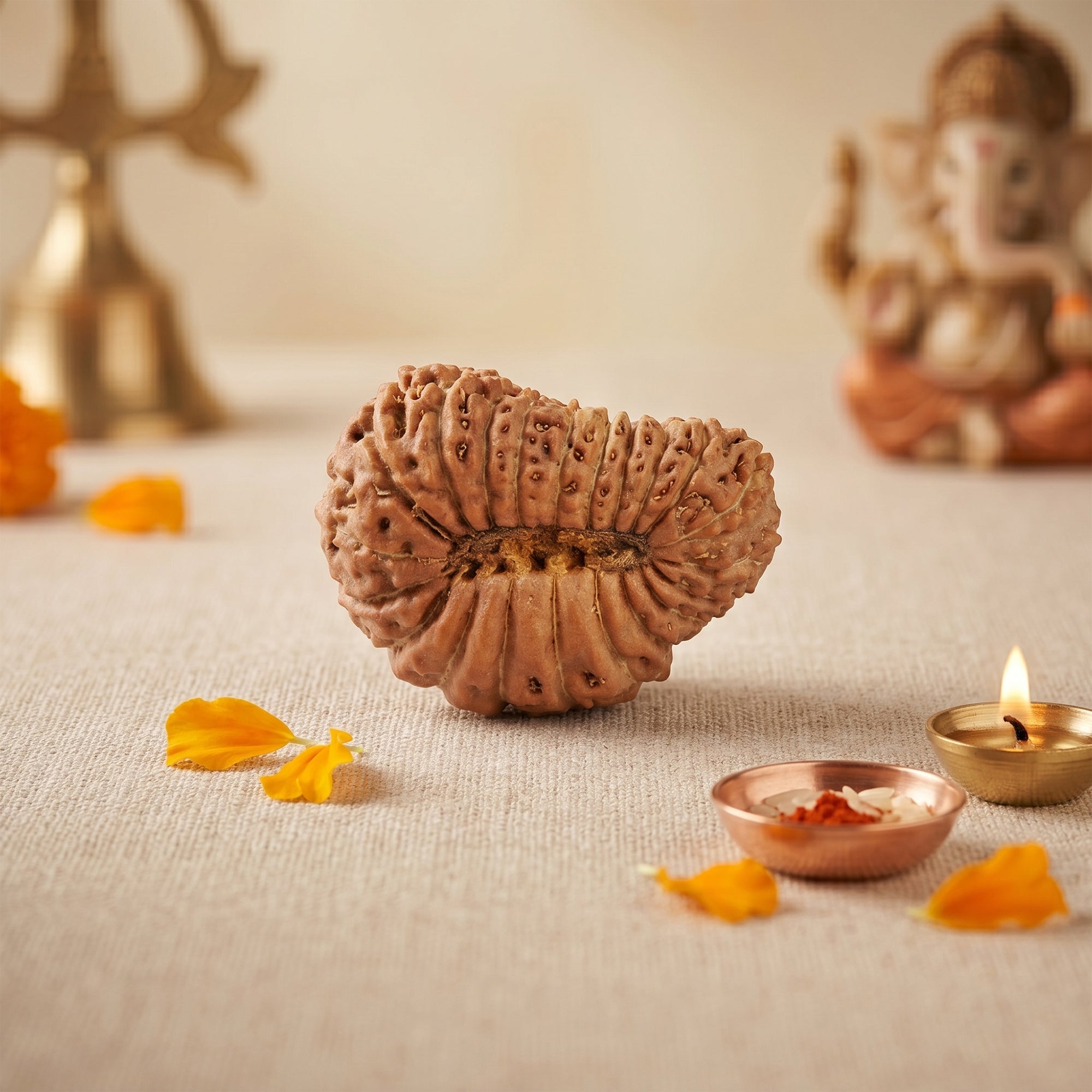 Natural 21 Mukhi Rudraksha – Original Nepali Bead