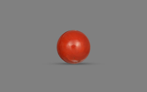 Red Coral (Moonga) - 21.78 Carats