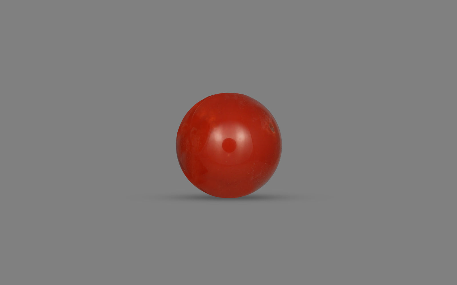 Red Coral (Moonga) - 19.48 Carats