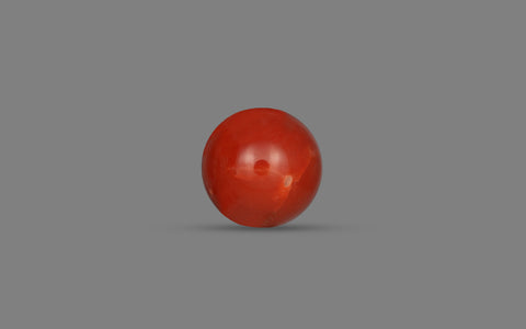 Red Coral (Moonga) - 19.48 Carats