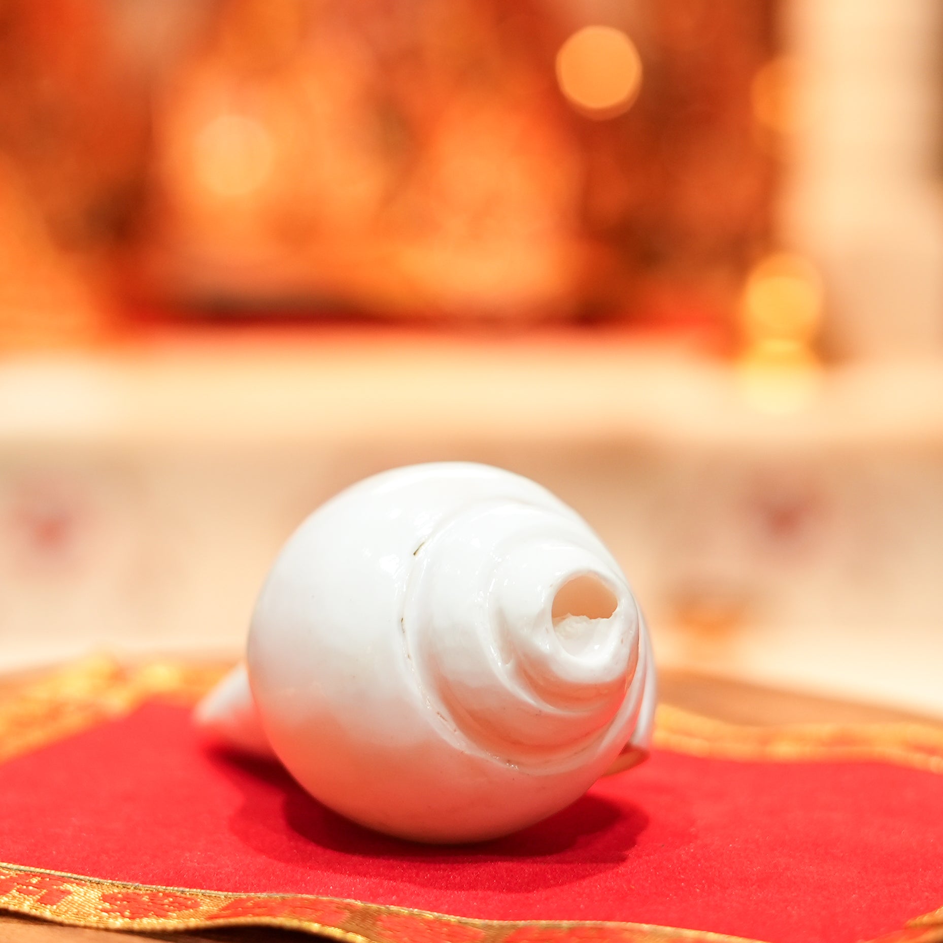 Shankh - The Devine Baynavarti or Vaamvarti Shankh - Variant 2