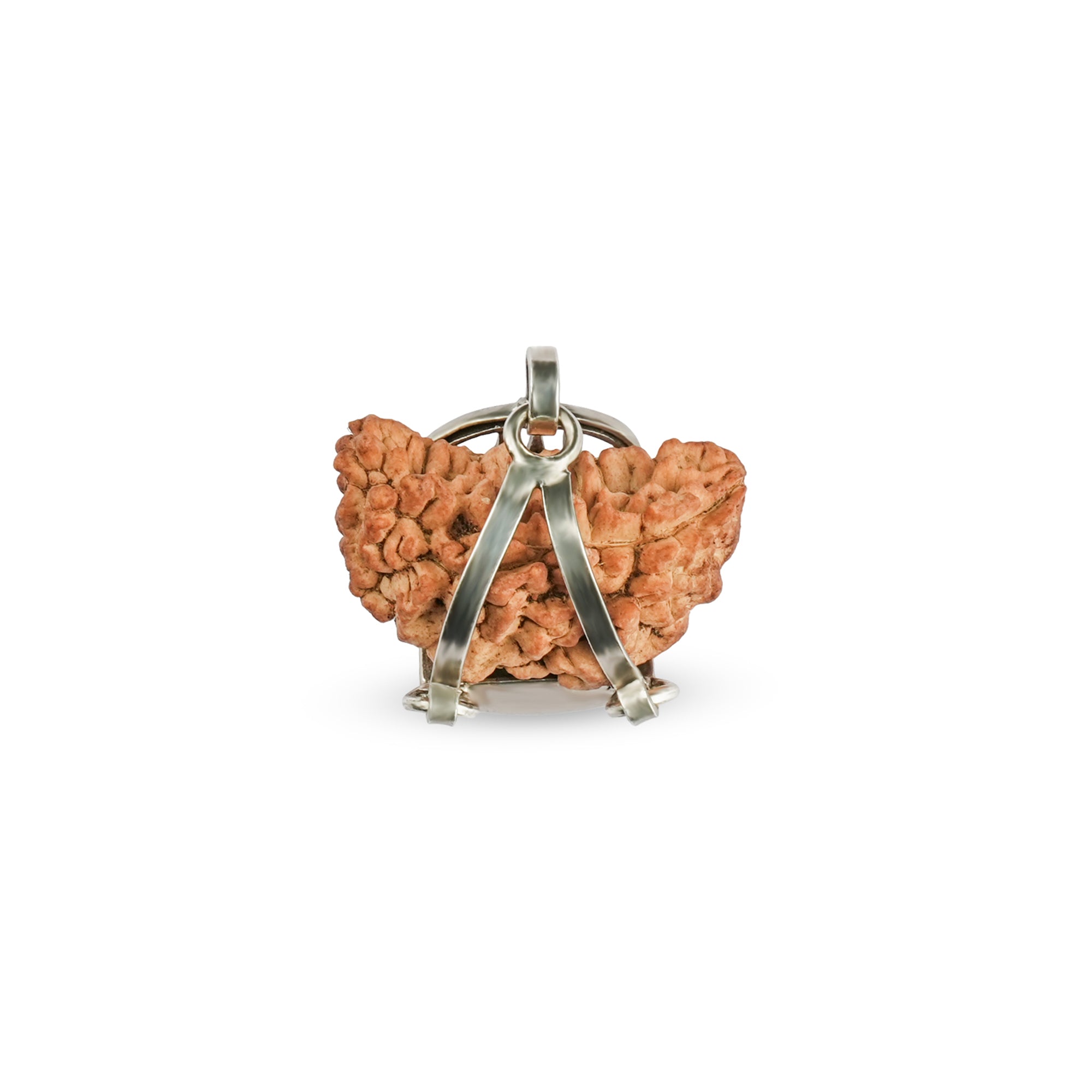 1 Mukhi Rudraksha Silver Pendant – Trishul Design