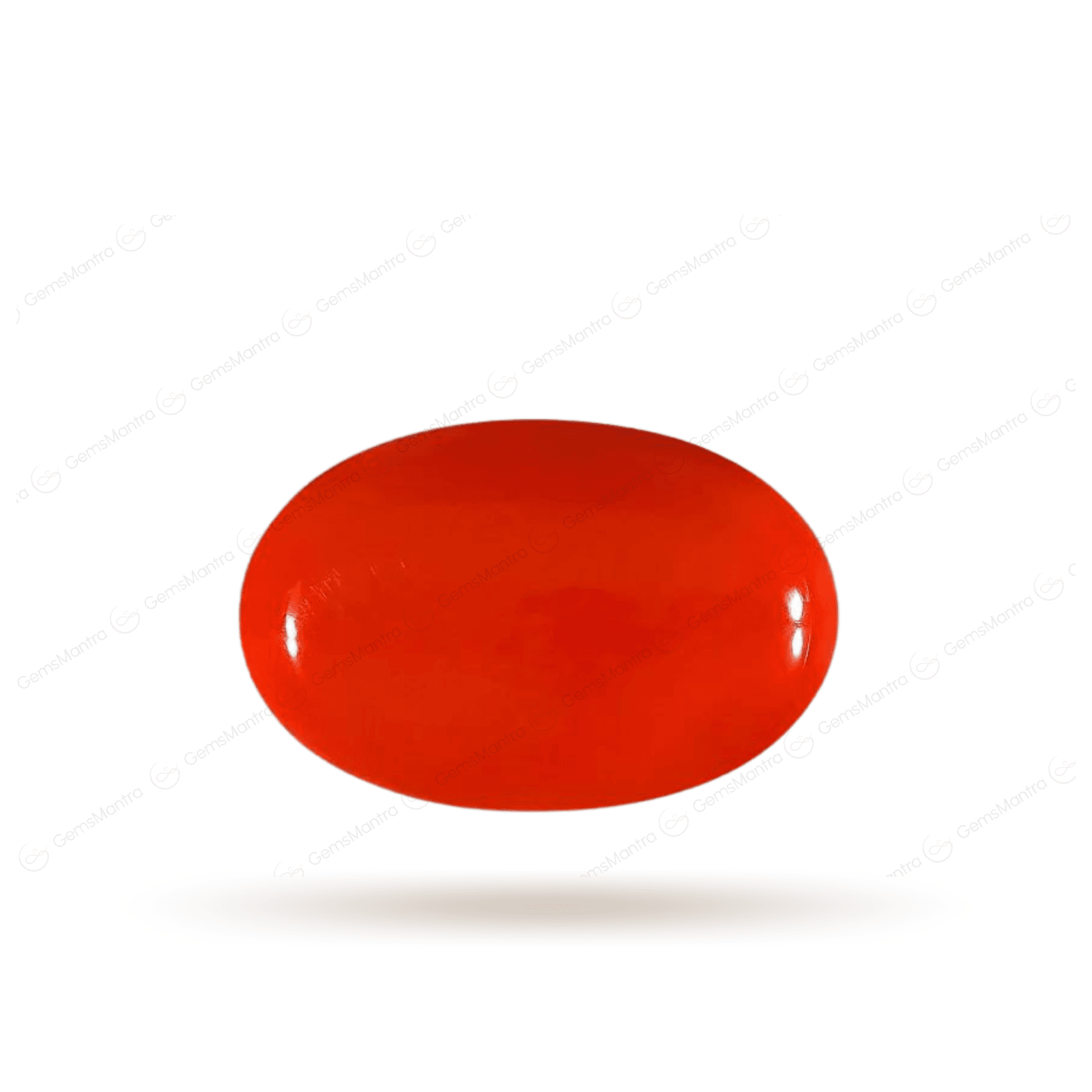 Moonga-Red Coral stone Luxury (12 Ratti) - Gemsmantra