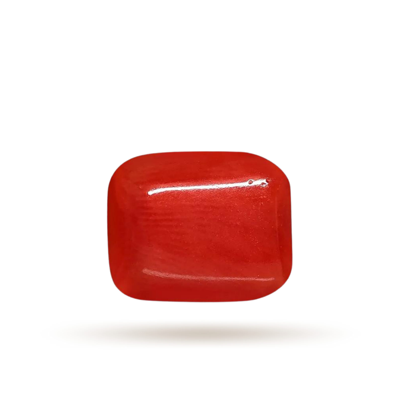 Red coral price per ratti shop