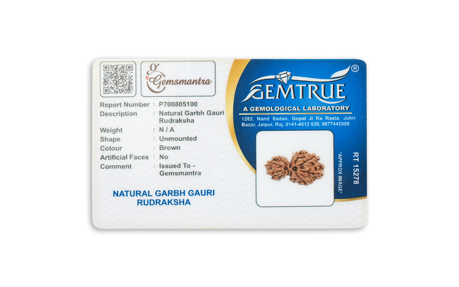 Garbh Gauri Shankar Rudraksha – Original Bead