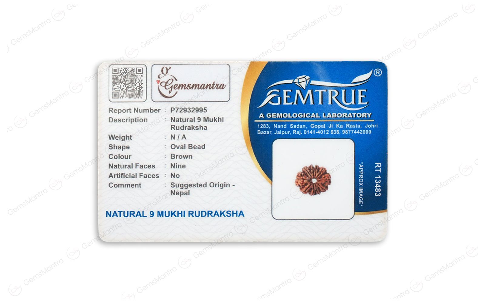 Abhimantrit Natural 9 Mukhi Rudraksha (Nepali)