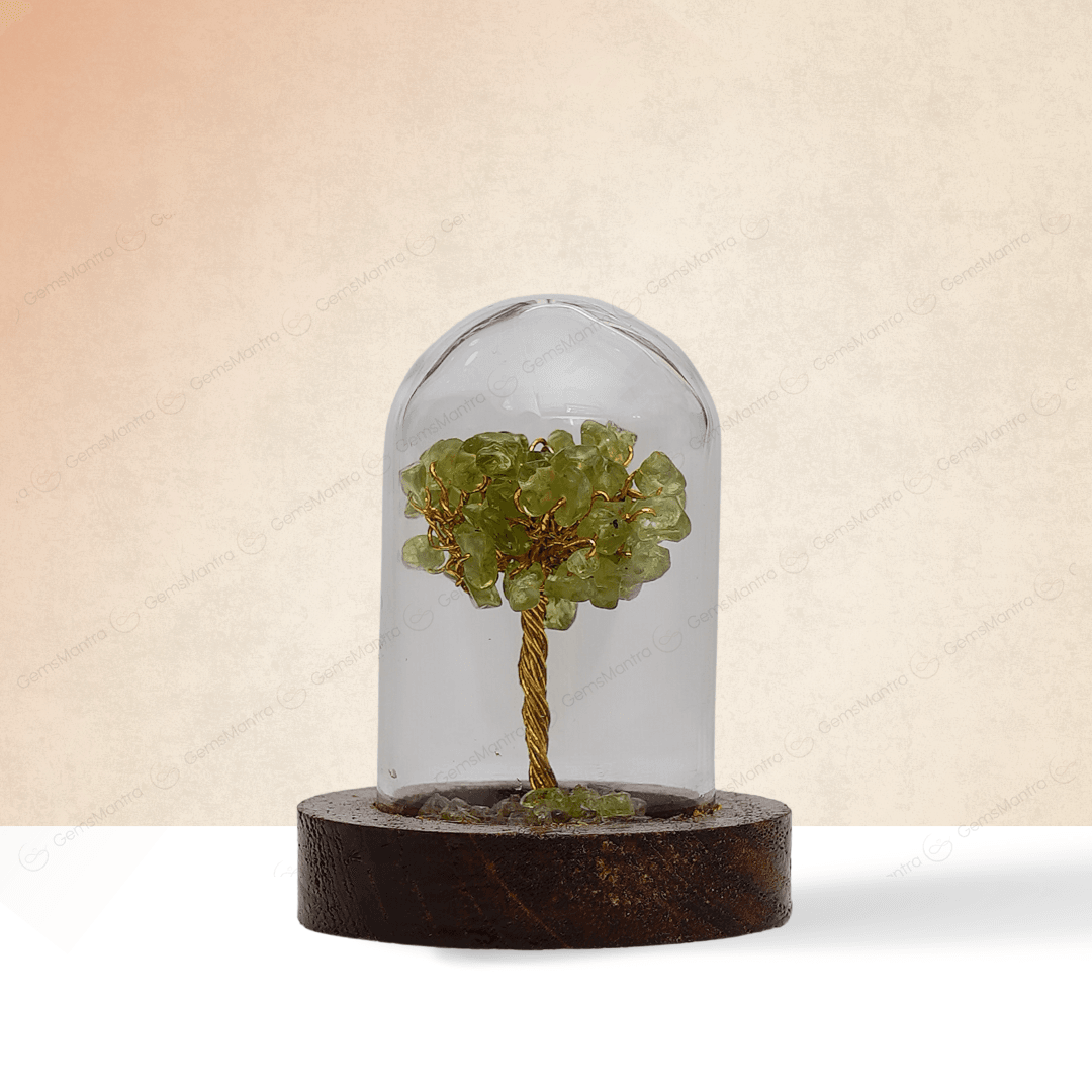 Peridot Glass Cover Showcase Tree - Gemsmantra
