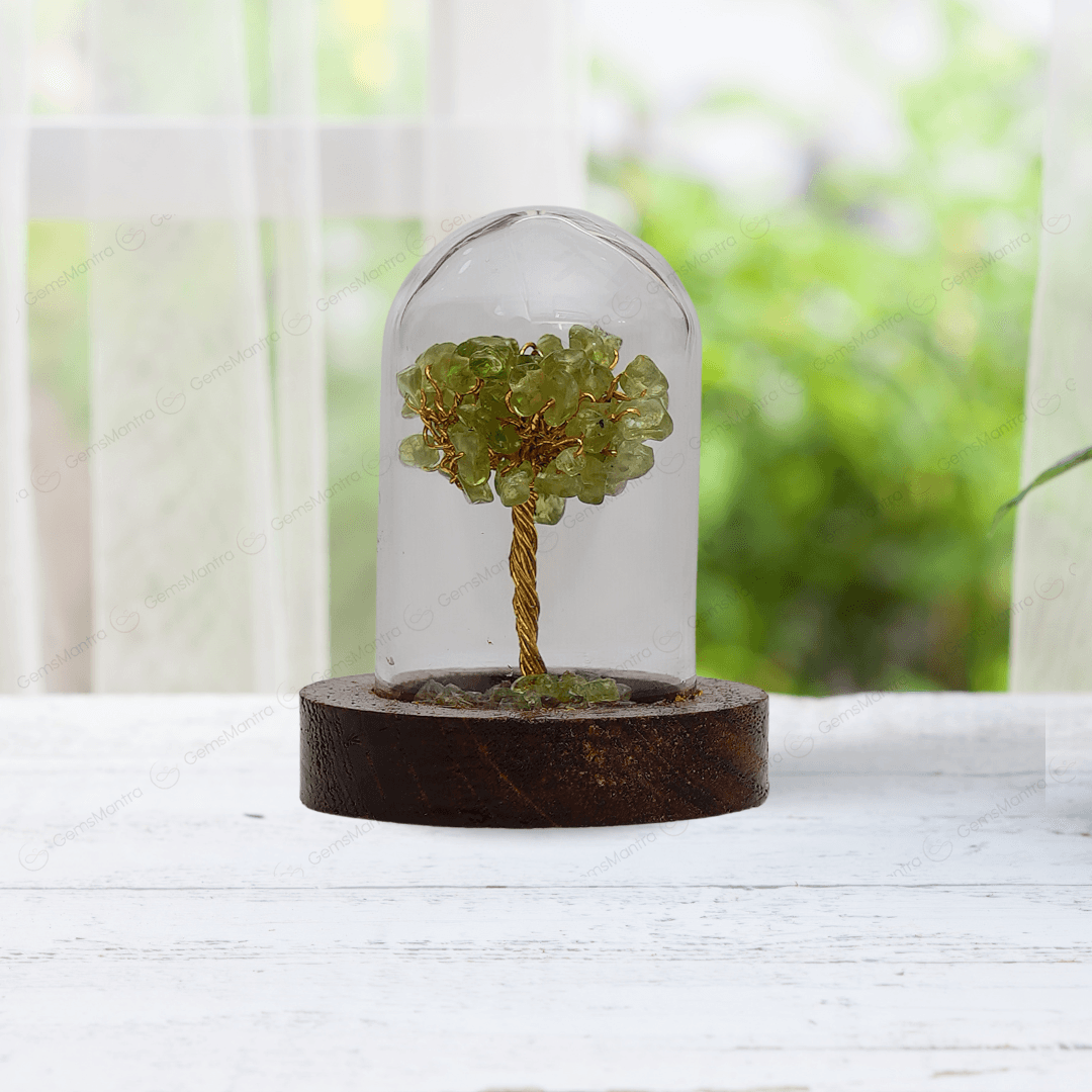 Peridot Glass Cover Showcase Tree - Gemsmantra