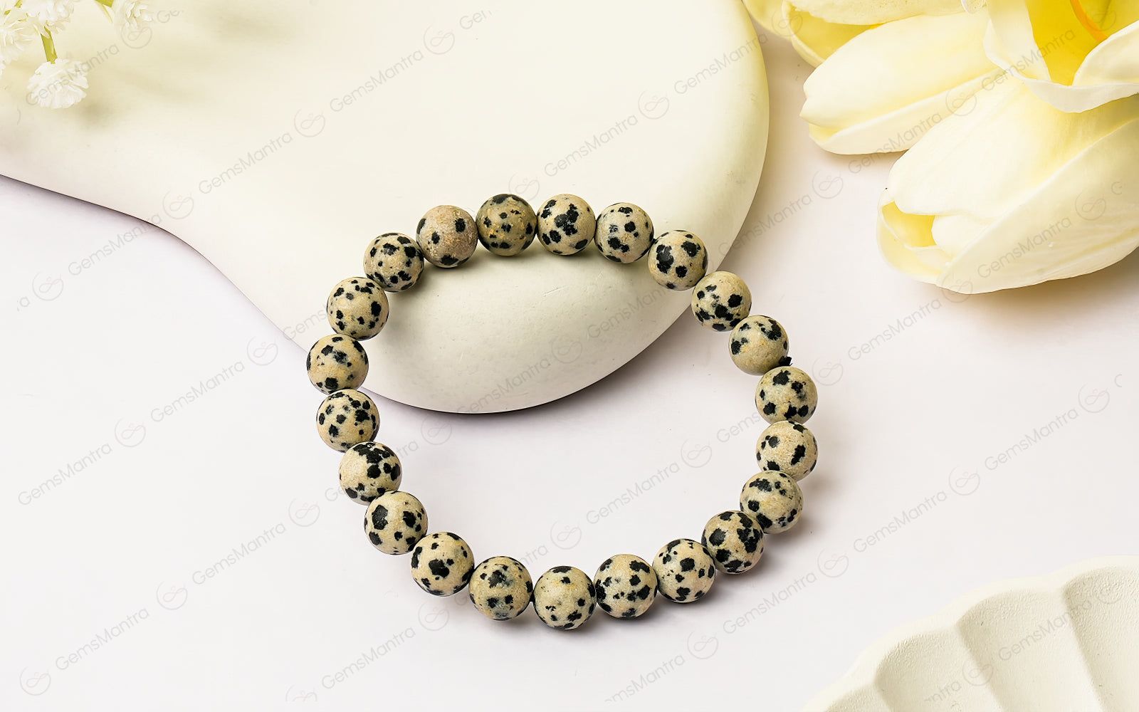 Dalmatian Jasper Bracelet