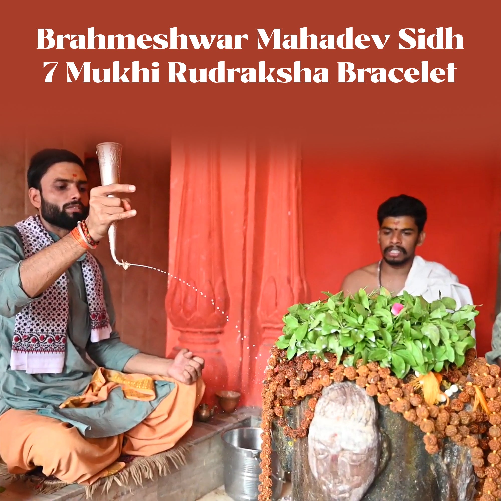 7 Mukhi Rudraksha Bracelet – Kashi Siddh Ritual Energized Nepali Bead