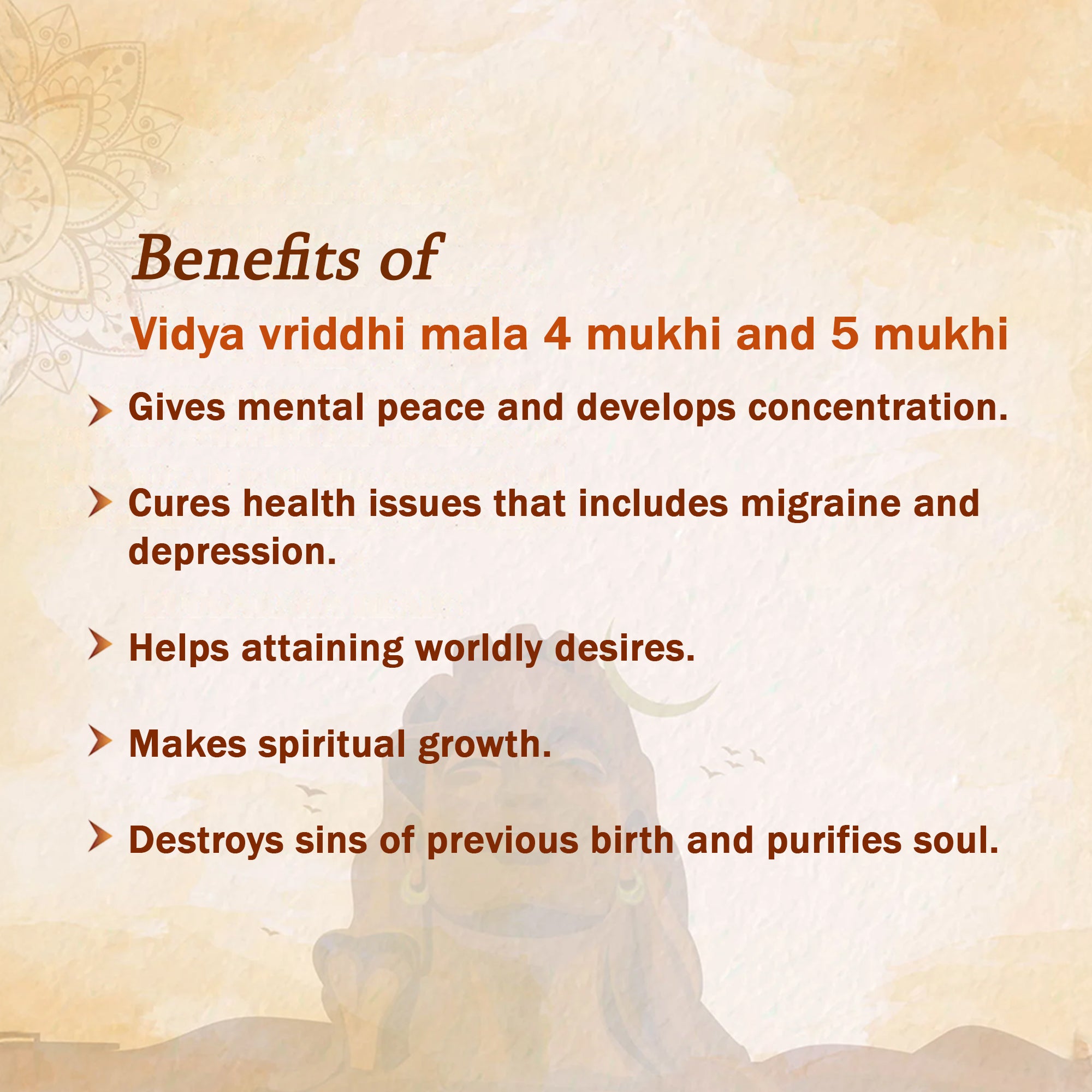 Vidya Vriddhi Mala - 4 Mukhi and 5 Mukhi Rudraksha