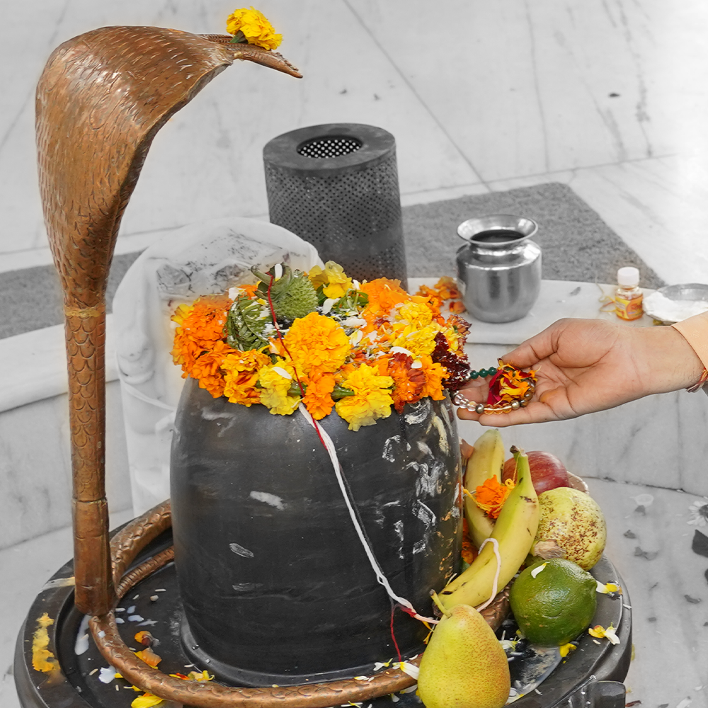 Dhan Yog Bracelet with Zodiac Charm