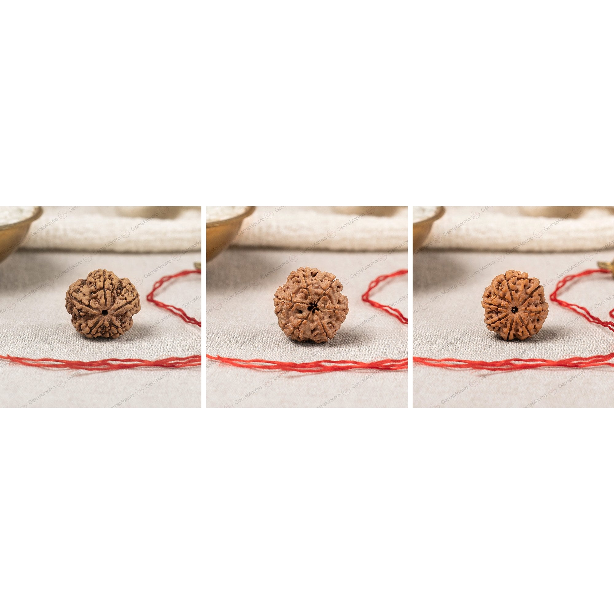 Mukhi Foundation Trio — 5, 6 & 7 Mukhi Rudraksha (Nepali)