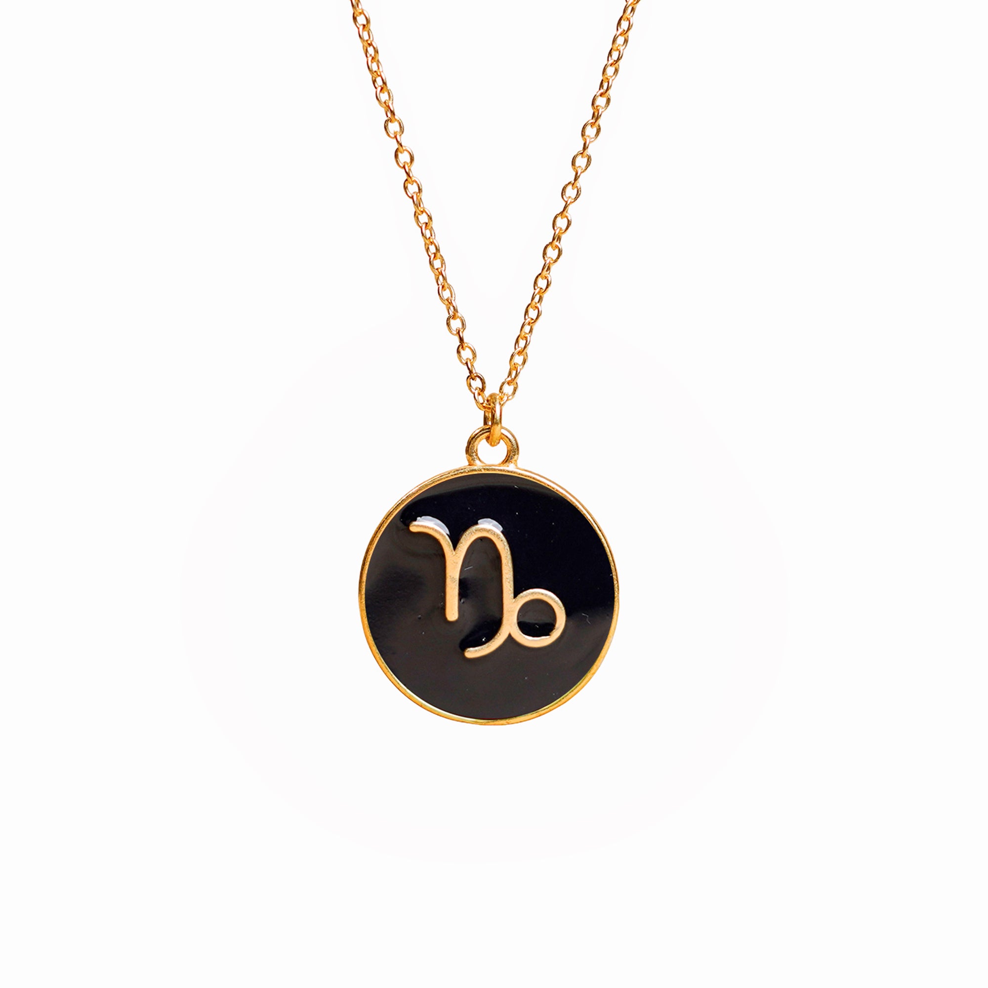 capricorn zodiac enamel coin pendant
