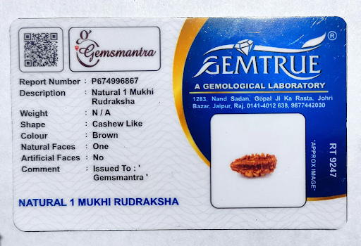 GemsMantra report card from Gemtrue lab for a natural 1 Mukhi Rudraksha