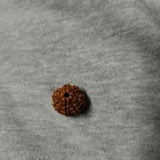 Customer photo: 7 Mukhi Rudraksha bead