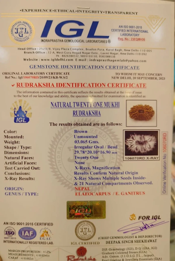 IGL Rudraksha identification certificate with X-ray results
