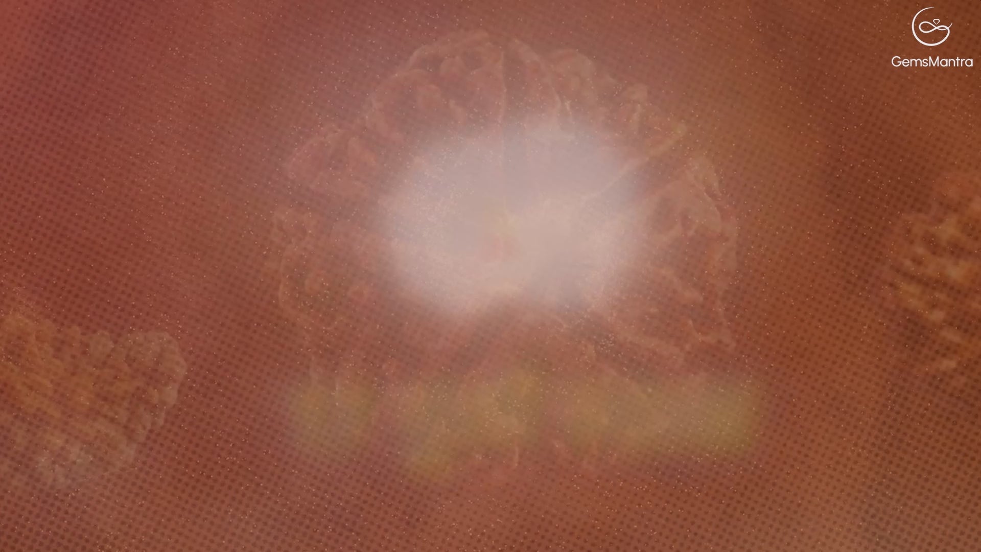 17 mukhi Rudraksh Indo Video