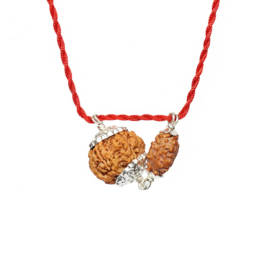 Gajkesari Yog Kavach – 2 Mukhi Rudraksha