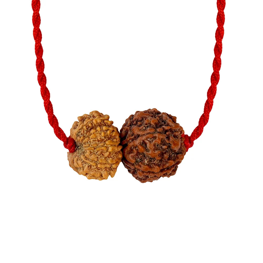 Shukra-Surya Prem Kavach – 6 & 12 Mukhi Rudraksha