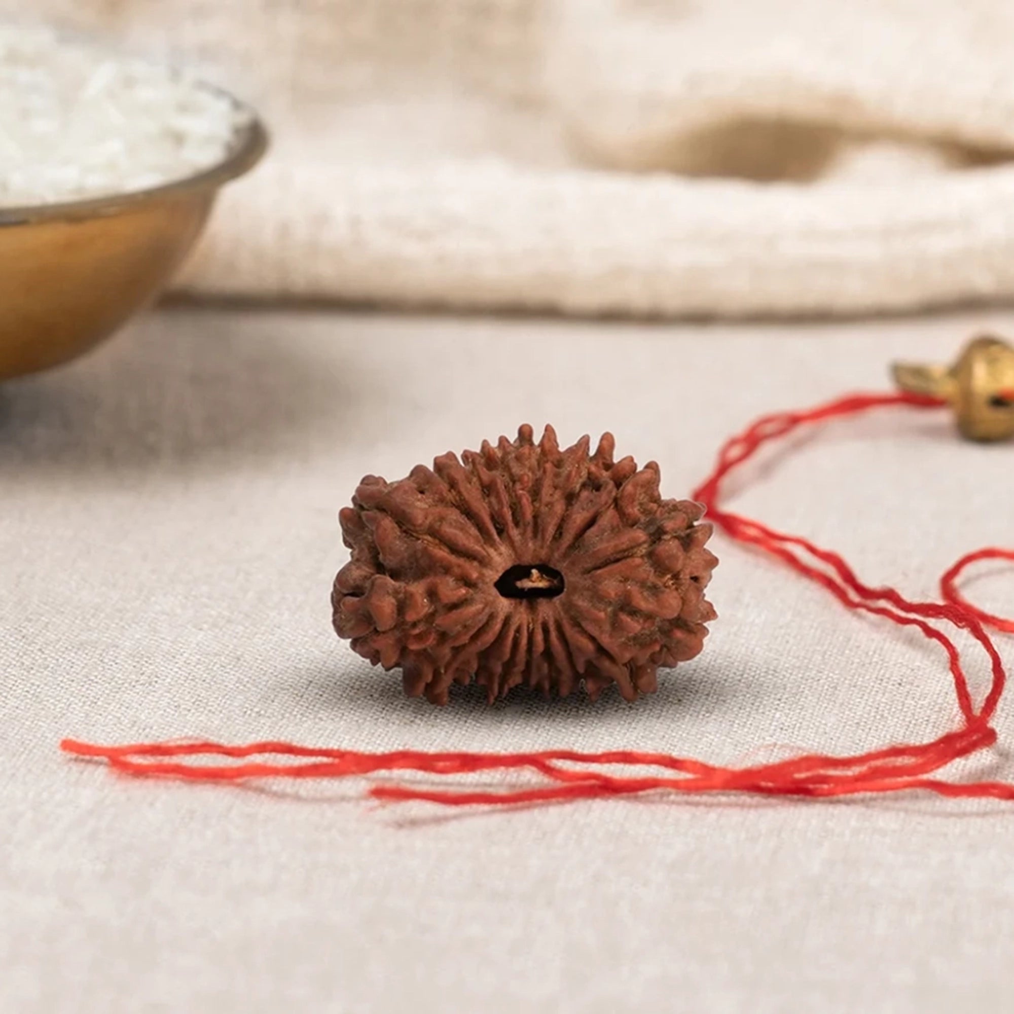Natural 17 Mukhi Rudraksha – Original Nepali Bead
