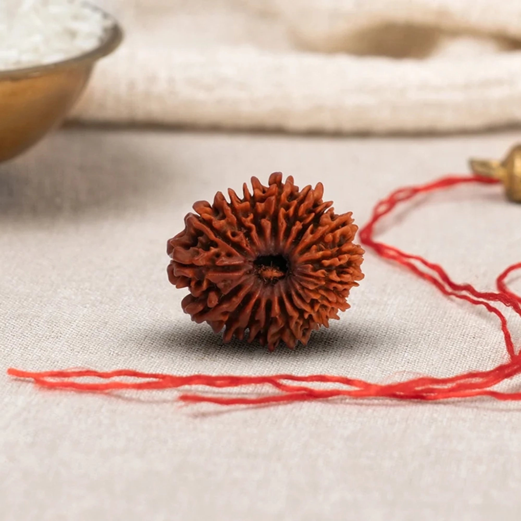 Natural 18 Mukhi Rudraksha – Original Nepali Bead