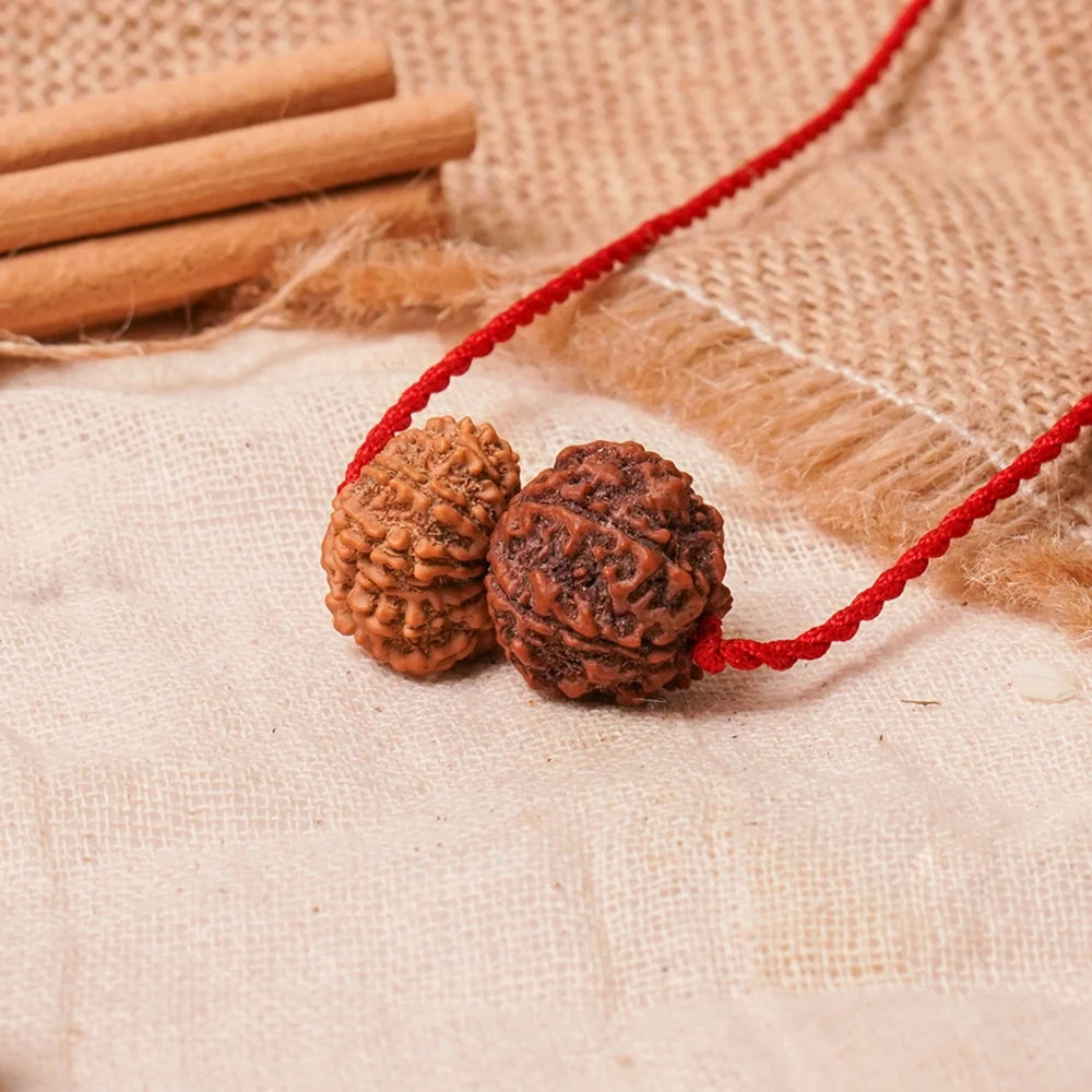 Shukra-Surya Prem Kavach – 6 & 12 Mukhi Rudraksha