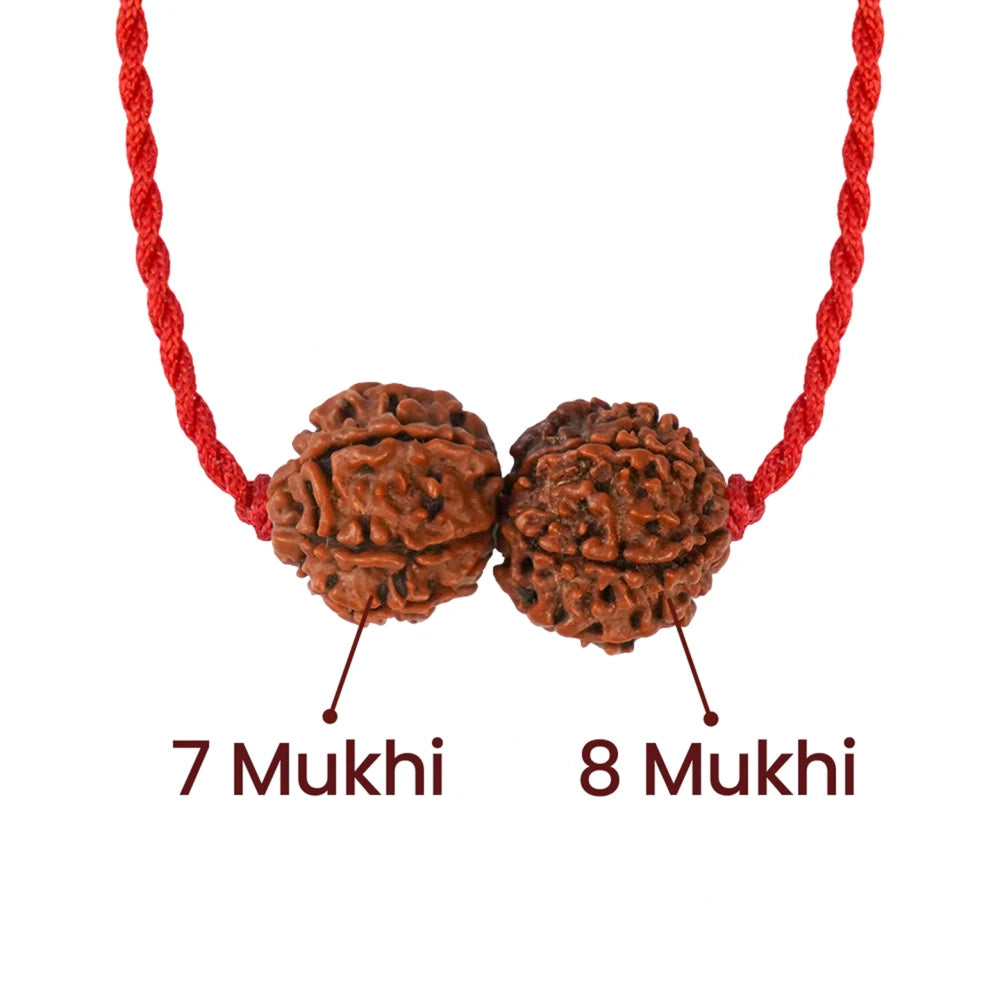 Shani-Rahu Kavach – 7 & 8 Mukhi Nepali Rudraksha