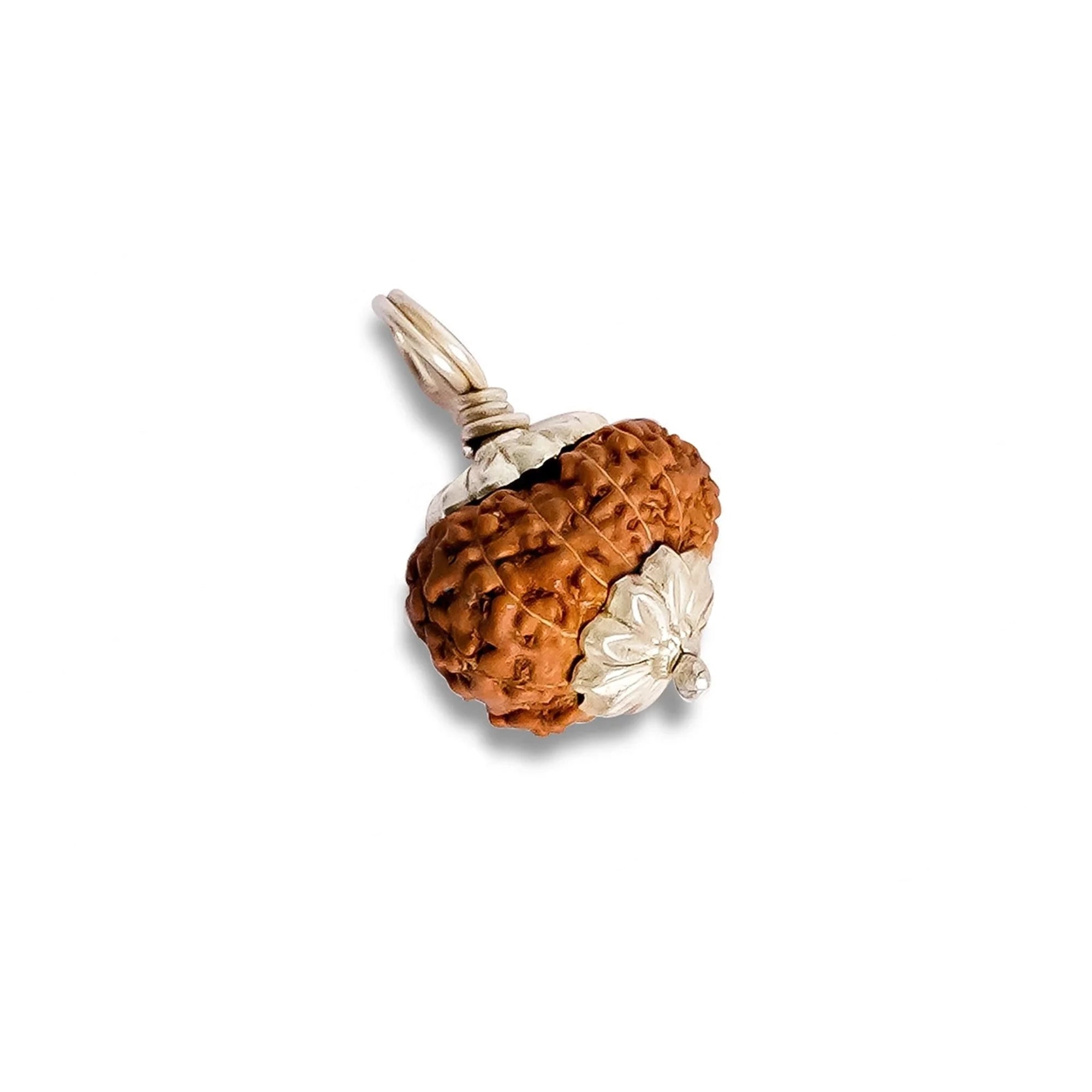 12 Mukhi Rudraksha – Original Indonesian Bead