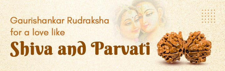 Gaurishankar Rudraksha for a love like Shiva and Parvati