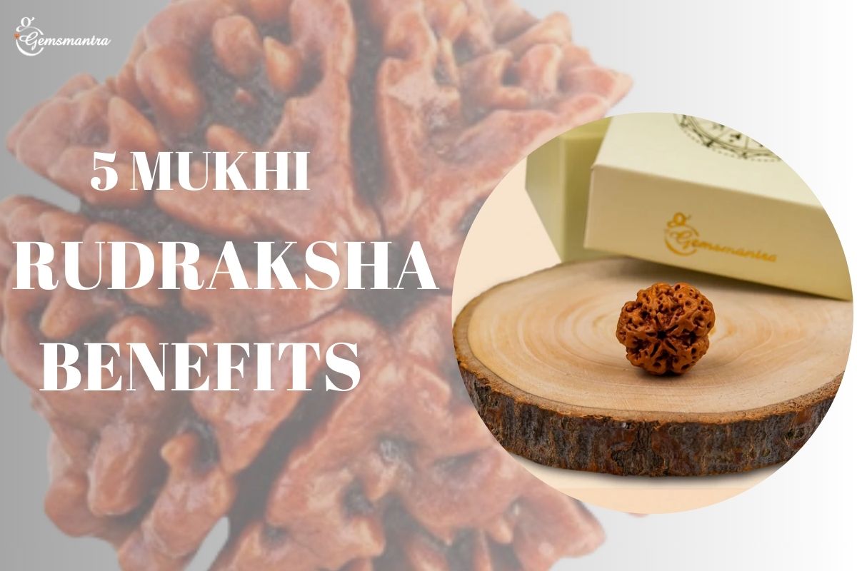 5 mukhi rudraksha benefits