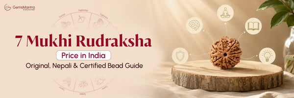 7 Mukhi Rudraksha Price in India - Original, Nepali & Certified Bead Guide
