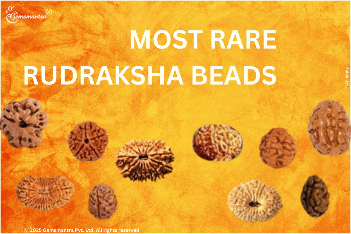 MOST RARE RUDRAKSHA BEADS