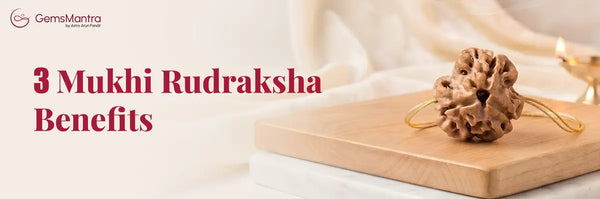 3 Mukhi Rudraksha Benefits and Spiritual Significance